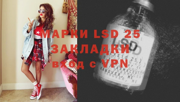 ECSTASY Горняк