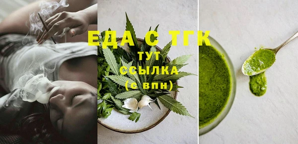 ECSTASY Горняк