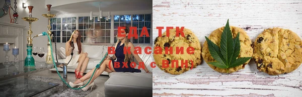 гашик Горнозаводск
